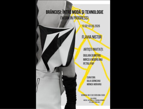 afiș brâncuși, intre moda si ttehnologie