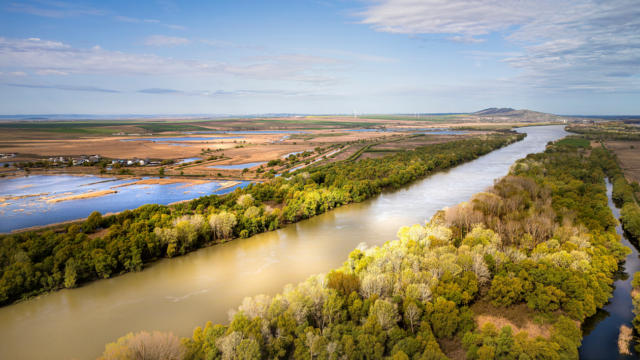 dunare, delta, murighiol, shutterstock, curatorial