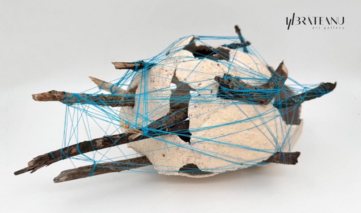 geometrii afective, brateanu