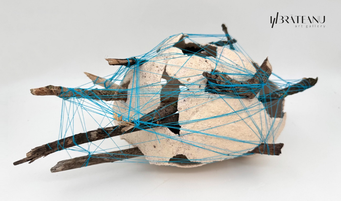 geometrii afective, brateanu