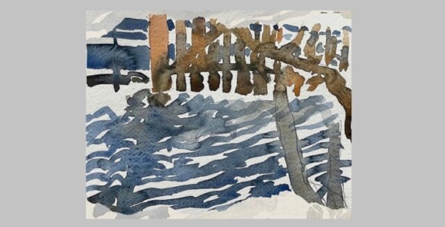 însemne ale locuirii, codrina ionita