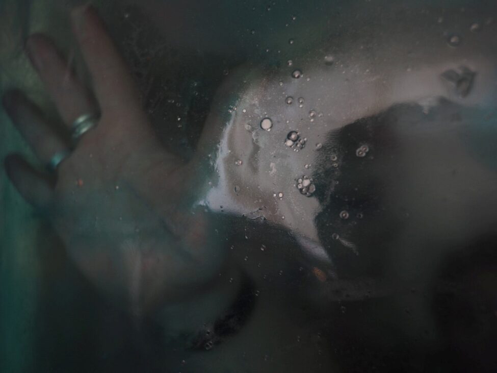 madalina elena trofin