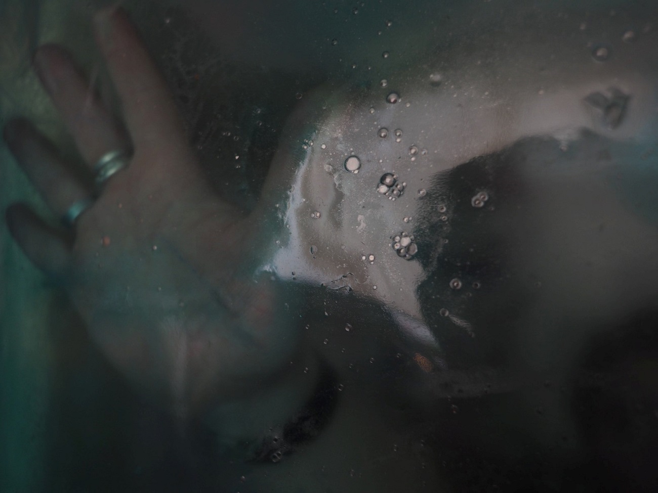 madalina elena trofin