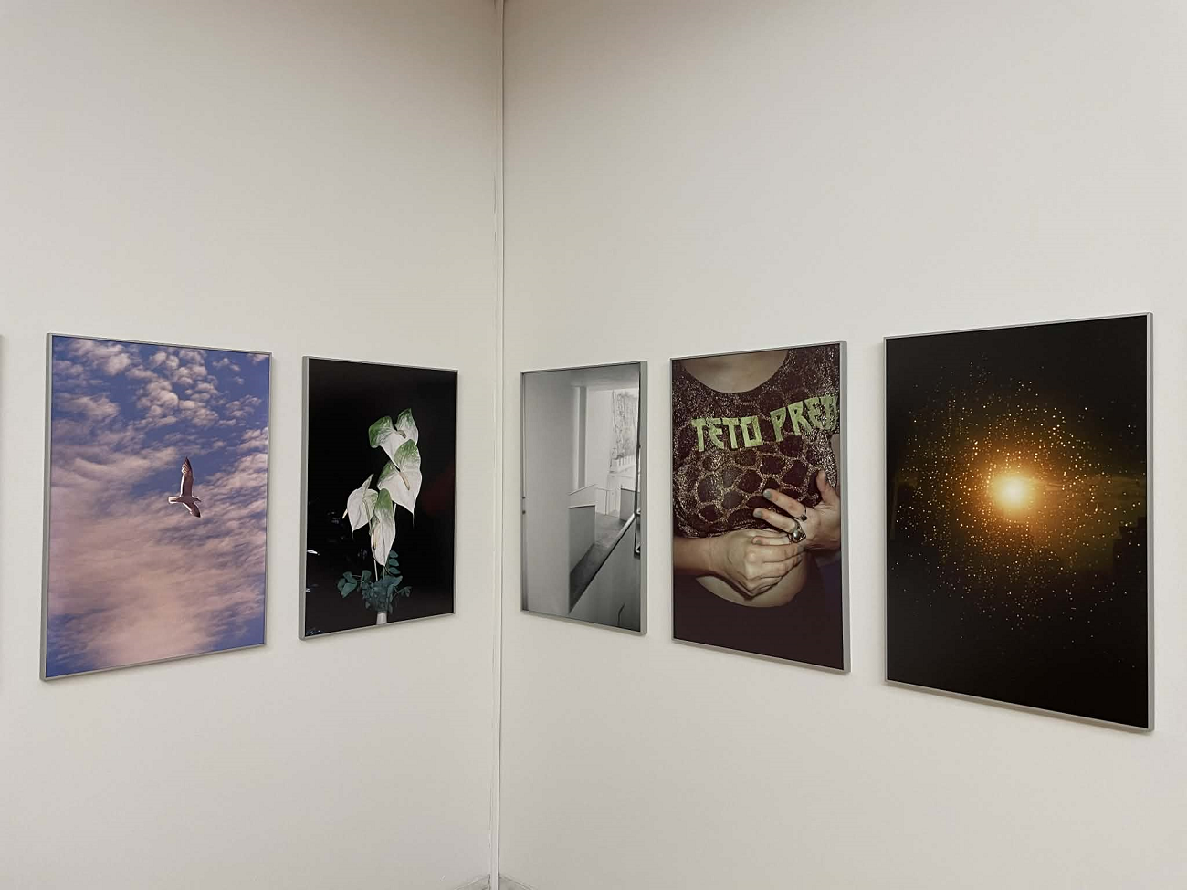 1 helena ramos, serralves, curatorial