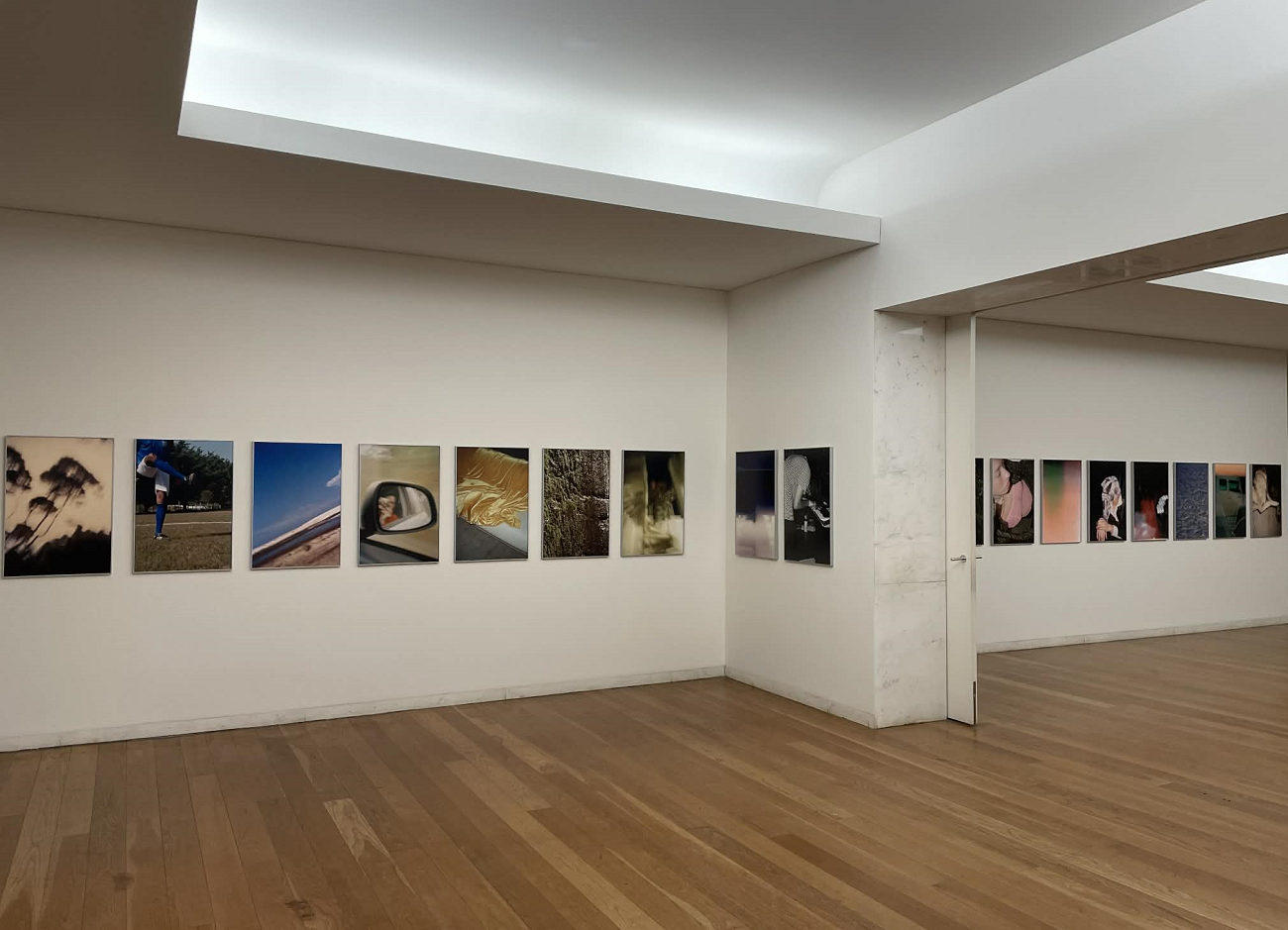 3 helena ramos, serralves, curatorial