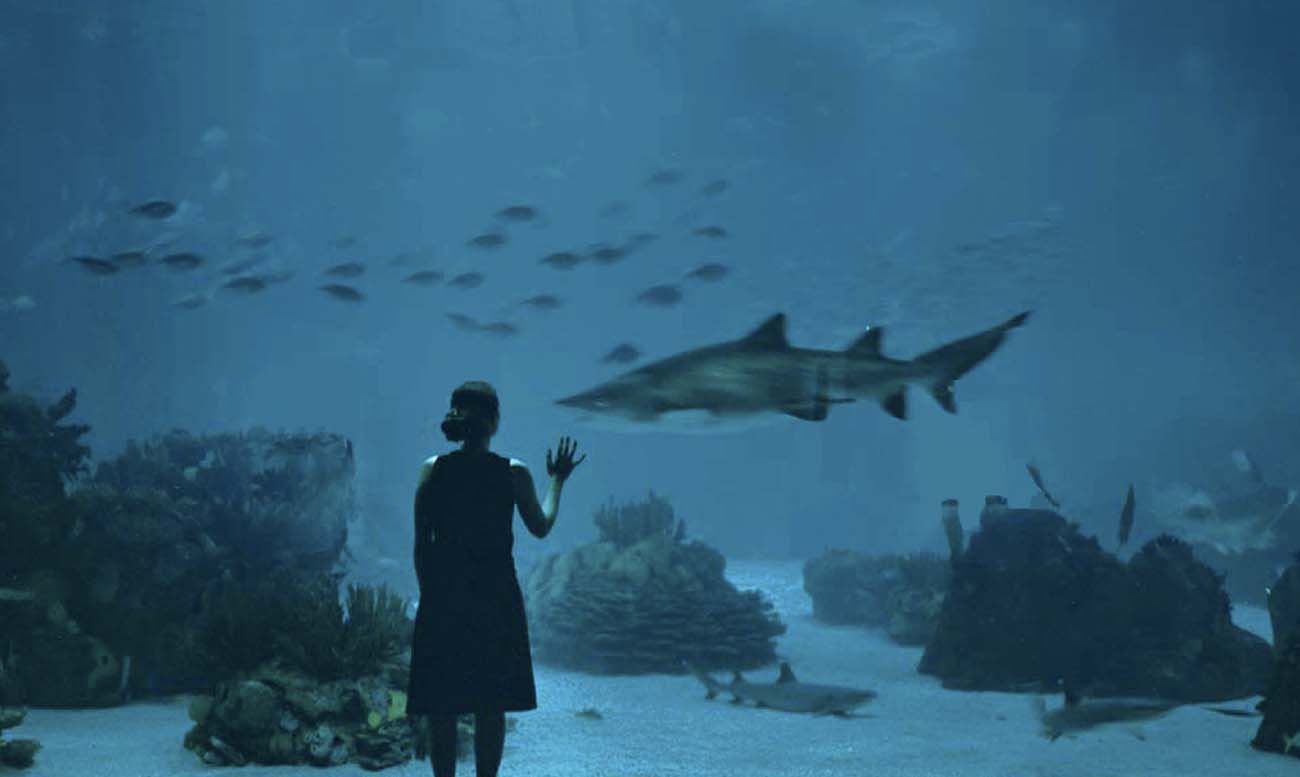 acvariul din lisabona