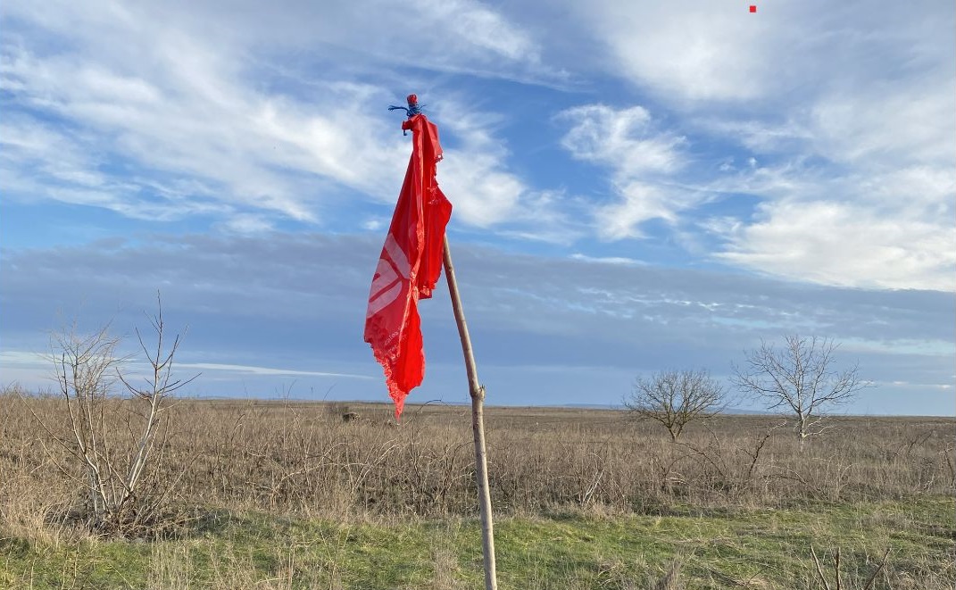 afiș expo zoița calinescu