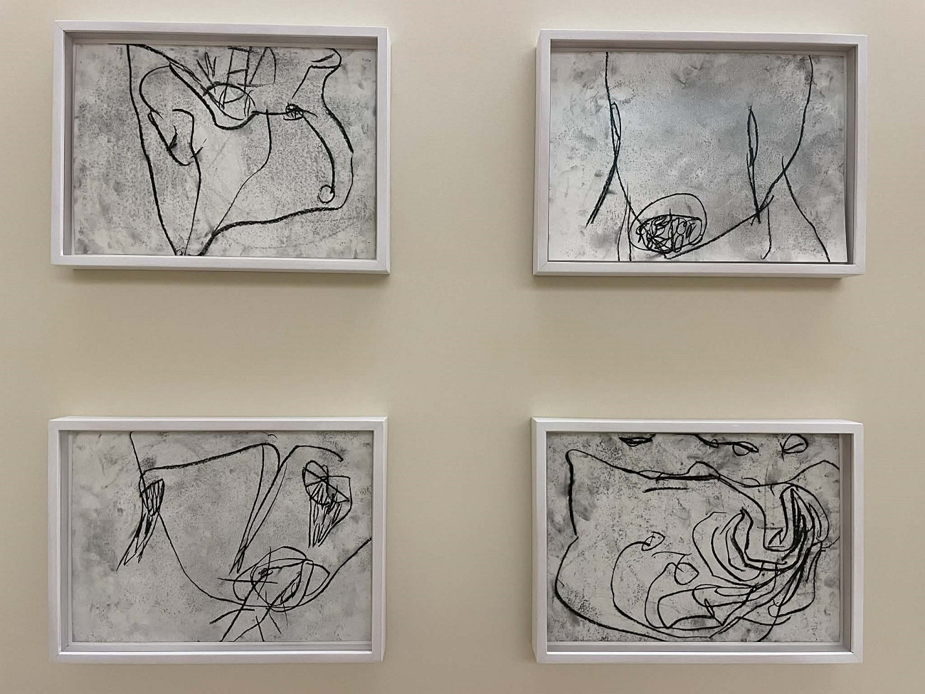 desene în cărbune, pedro sousa vieira, 1963, curatorial