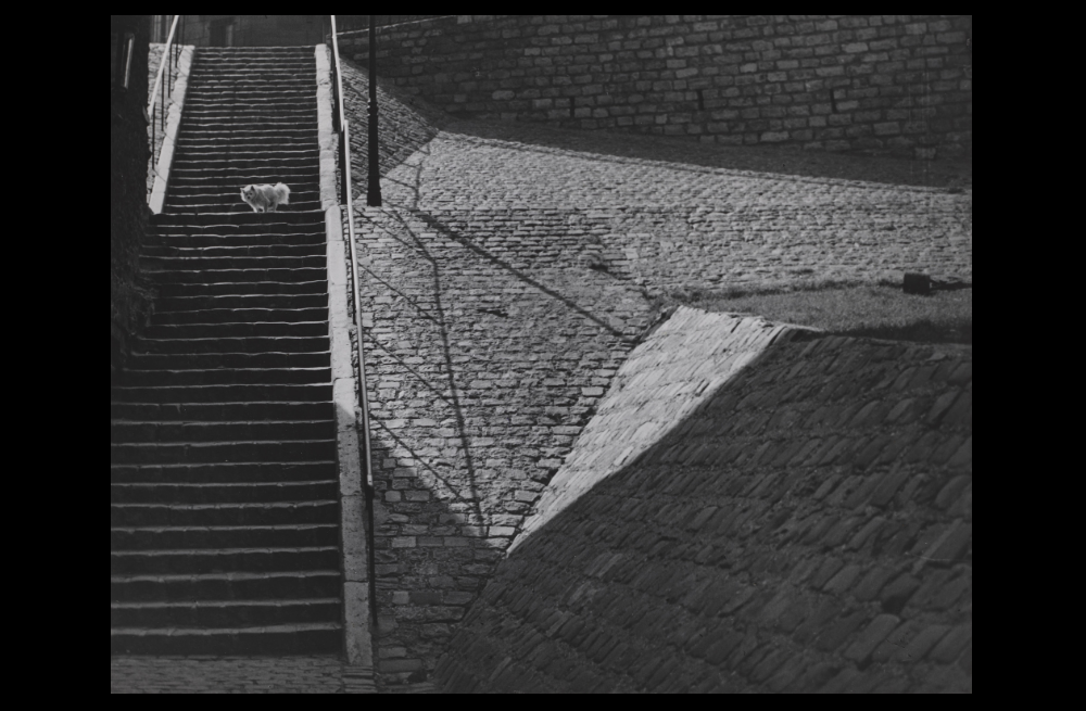 escalier a montmartre, brassai, 1932, brassai