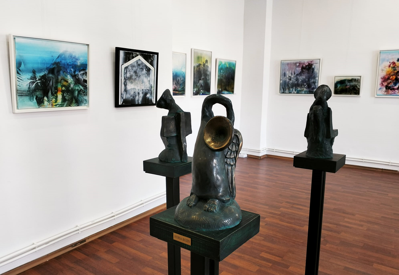 galeria metopa, bojin brăteanu