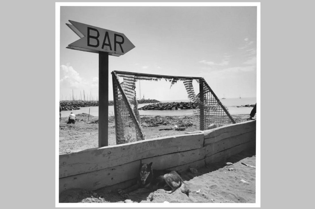 graciela iturbide, sin título, osita, roma, 2007