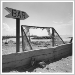 graciela iturbide, sin título, osita, roma, 2007