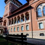 mntr, muzeul national al taranului roman, shutterstock, curatorial