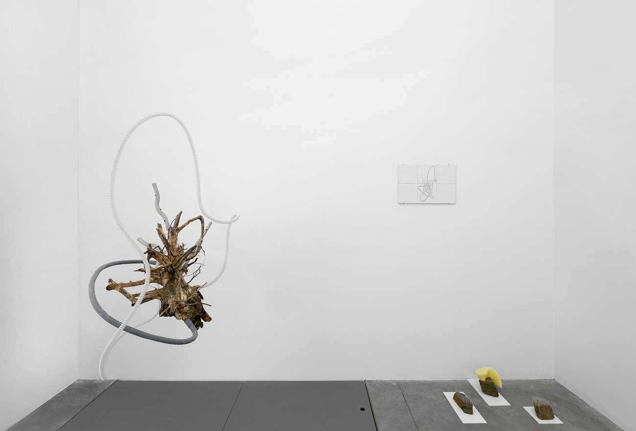 maria nalbantova, hybrid pure, foto maria djelebova