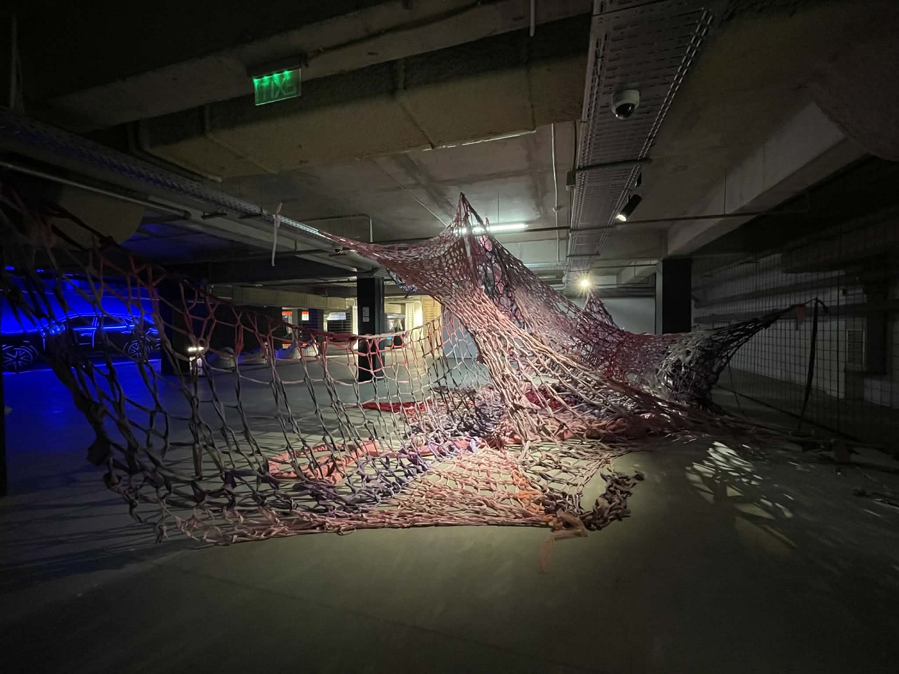 meshwork of lines, karolina babette kaiser, art safari 2026, curatorial