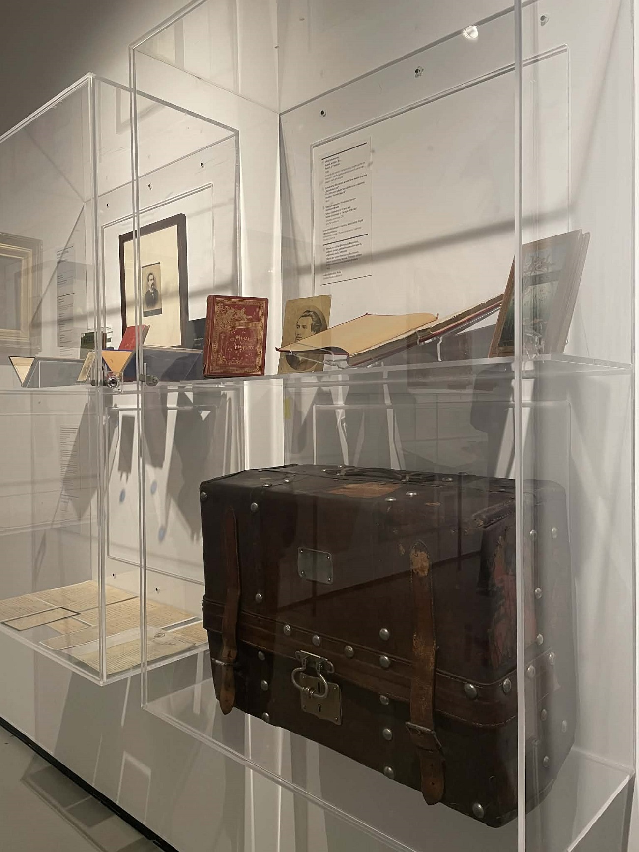 r eminescu, art safari 2026, curatorial