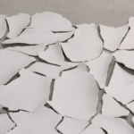 rehearsals of disappearance, expozitie