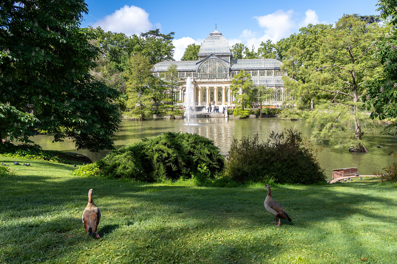 retiro, palacio de cristal, madrid, shutterstock, curatorial