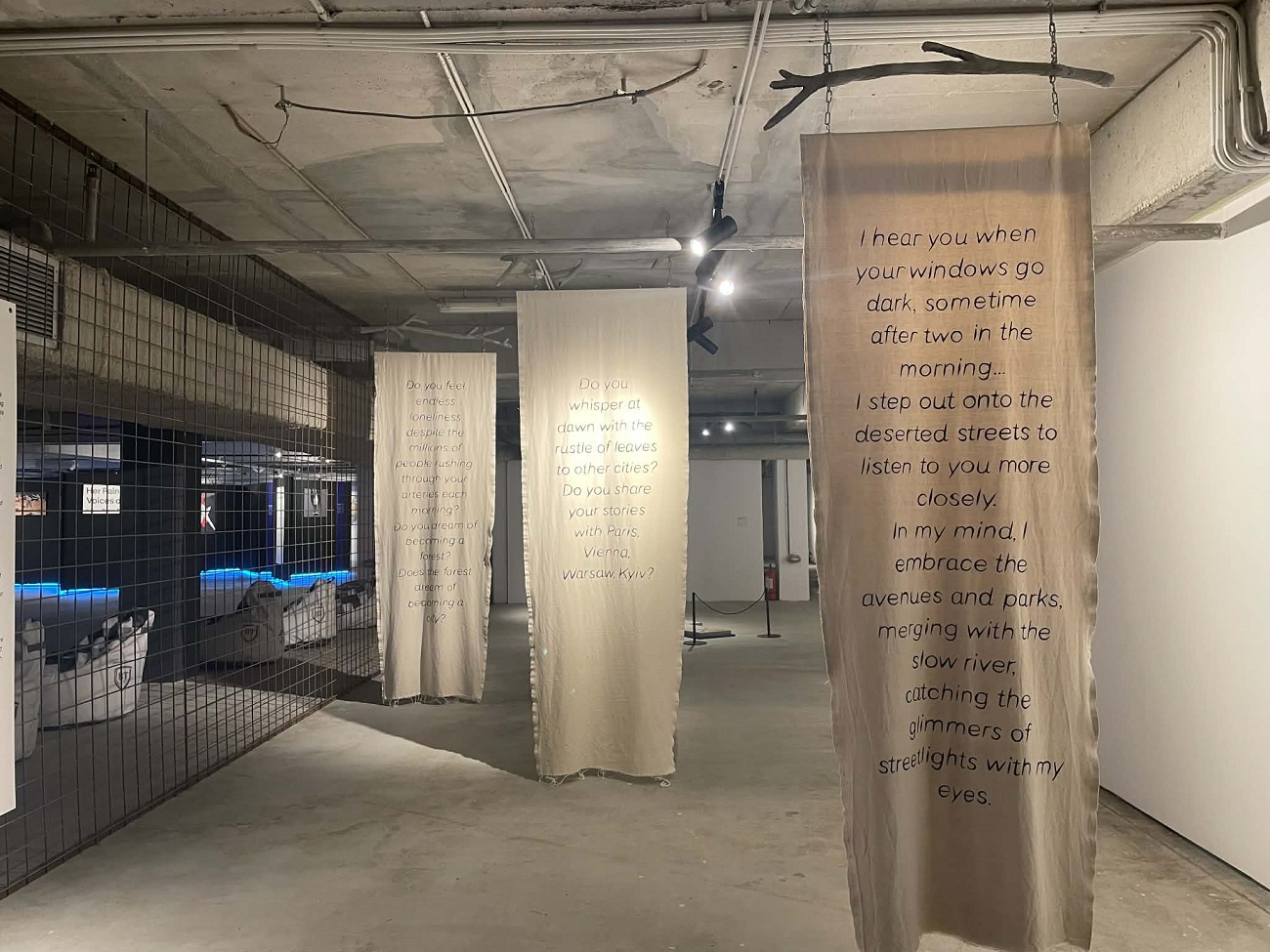 state of flux, anastasiia lisnycha, art safari 2026, curatorial