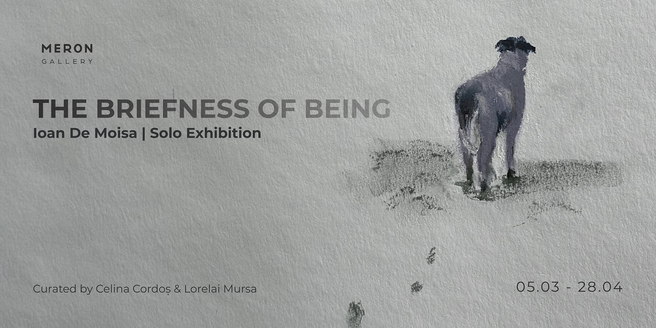 afis the briefness of being, ioan de moisa, expozitie, meron gallery
