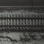 annart, wild at heart