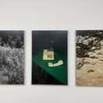 helena ramos, serralves, curatorial