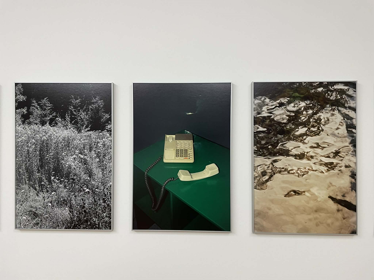 helena ramos, serralves, curatorial