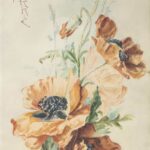 maria regina romaniei,maci