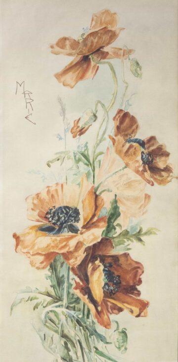 maria regina romaniei,maci