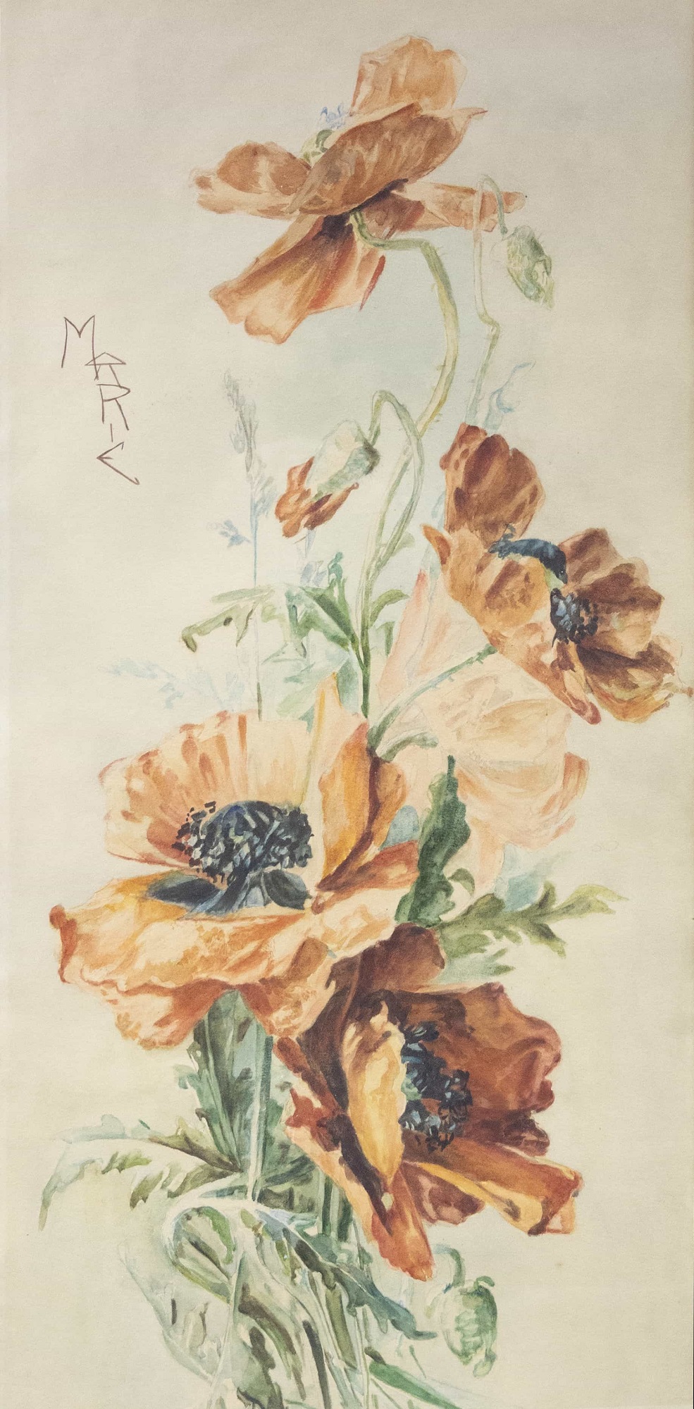 maria regina romaniei,maci