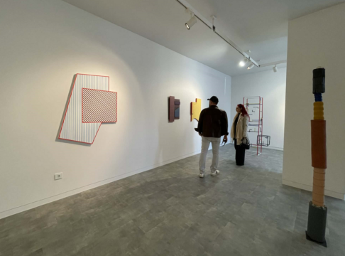 1 1 wild at heart and weird on top, annart, curatorial