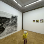 1 iulian bisericanu, expo fragments of poetic nature, curatorial