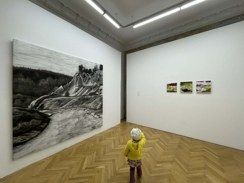 1 iulian bisericanu, expo fragments of poetic nature, curatorial