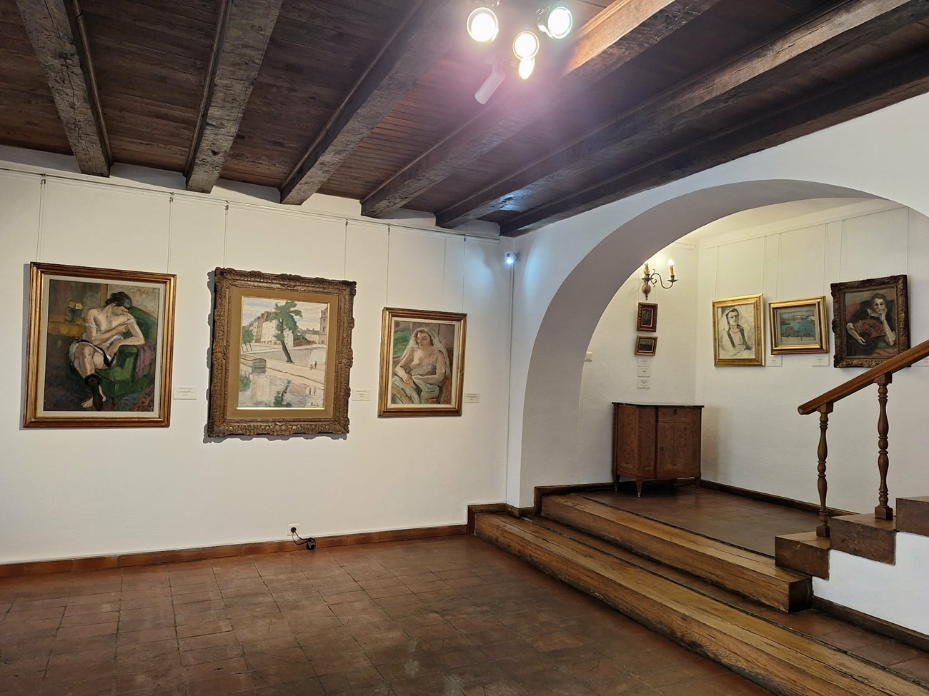 3 muzeul theodor pallady, curatorial