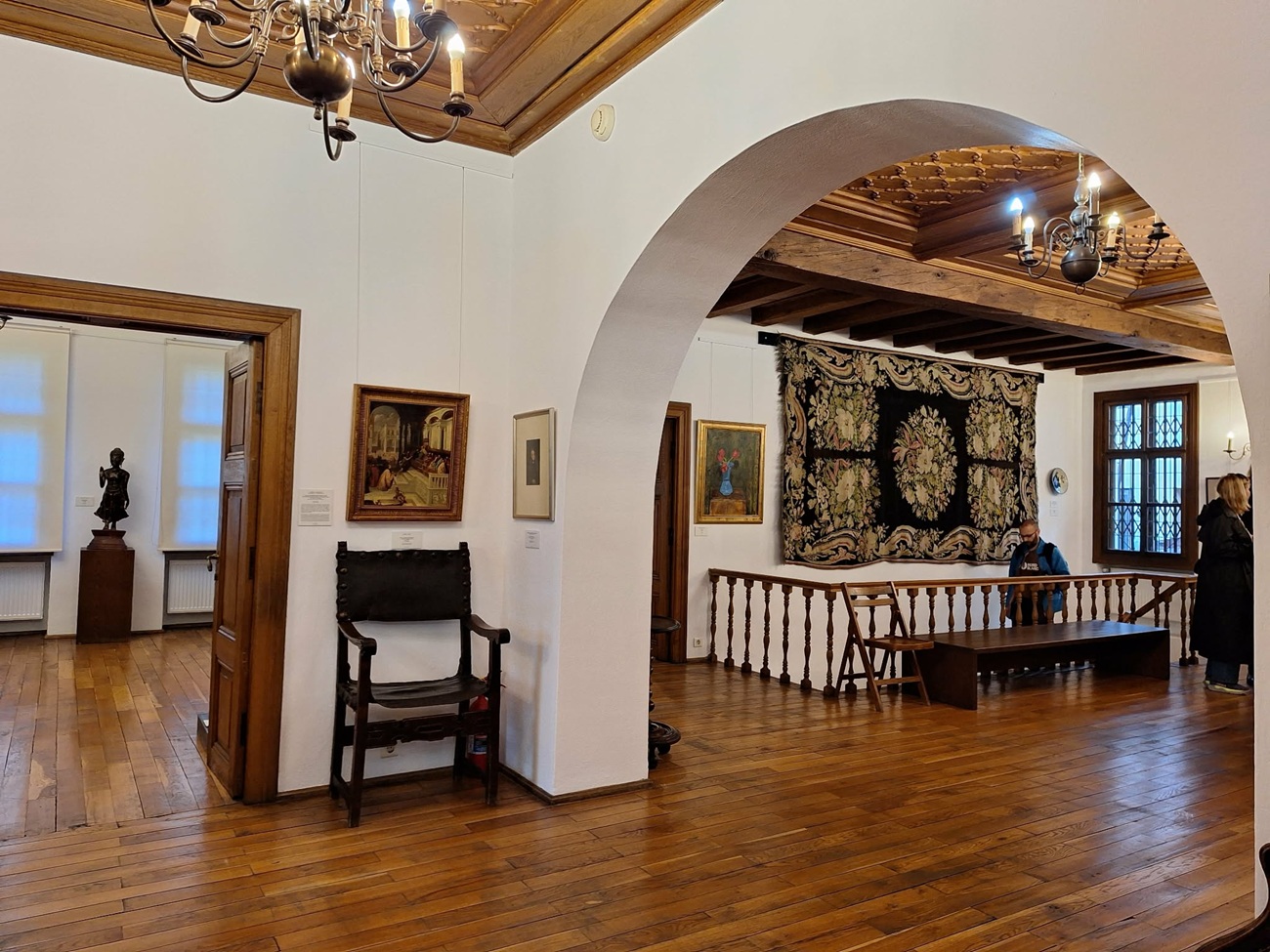 4 muzeul theodor pallady, curatorial