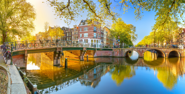 amsterdam, shutterstock, curatorial