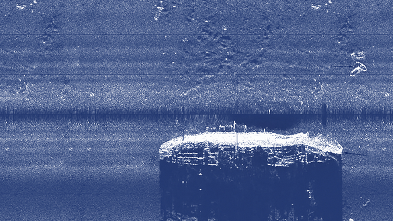 anca benera & arnold estefan, scores for the sonic eye (detail)