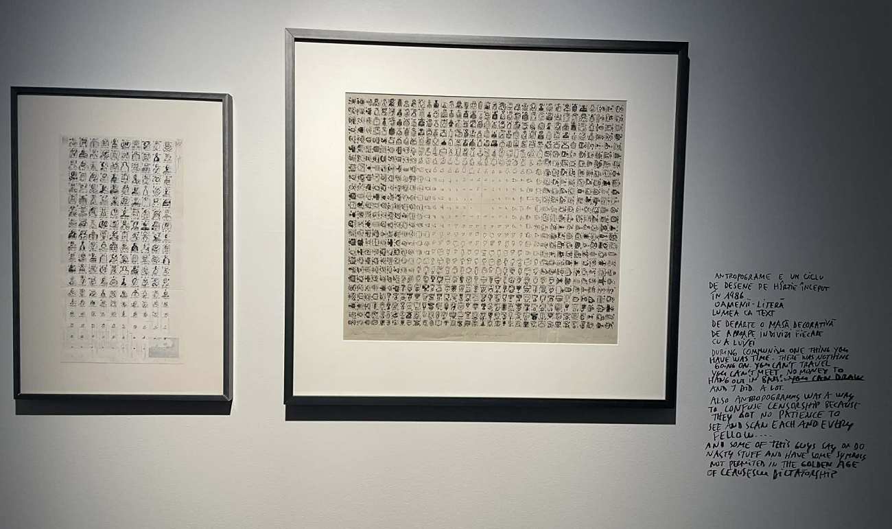 antropograme, dan perjovschi, curatorial