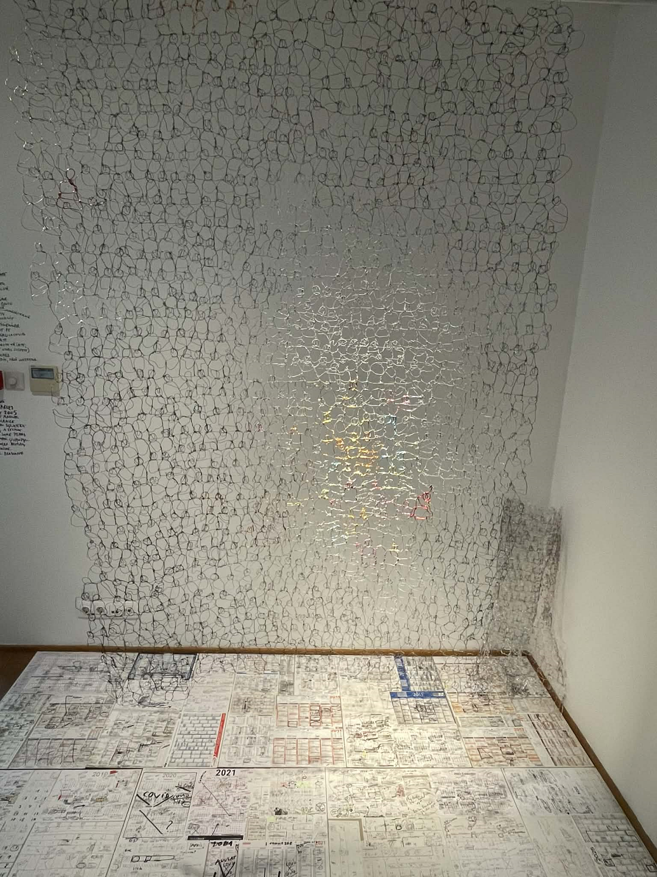 antropograme din sarma, dan perjovschi, curatorial