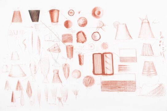 diagram n 1, lucian popaila