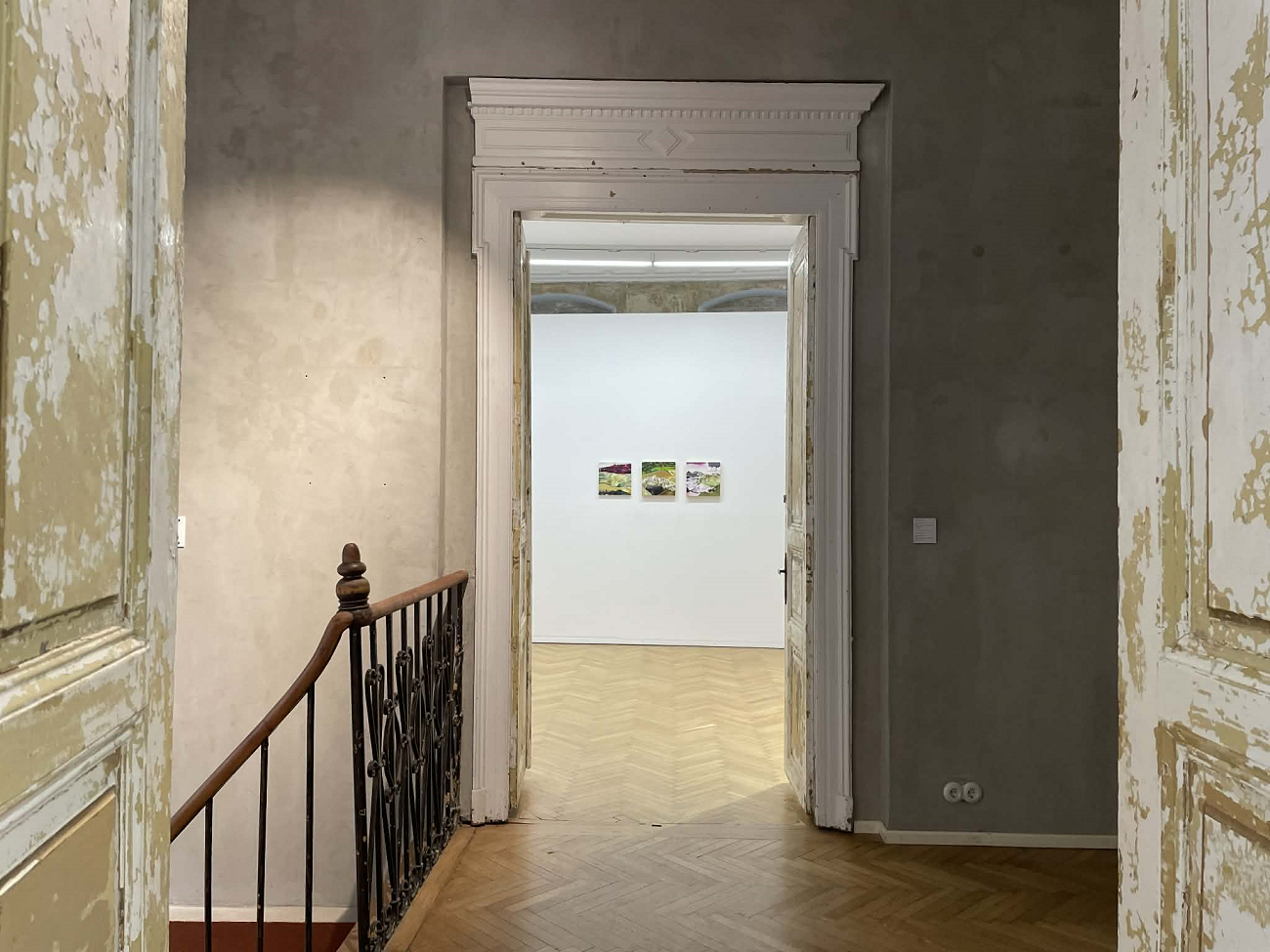 iulian bisericanu, expo fragments of poetic nature, curatorial