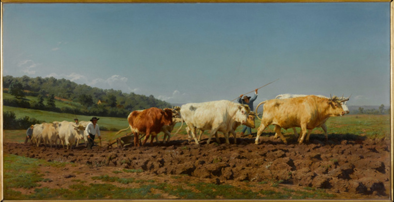 labourage nivernais, rosa bonheur