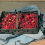 le panier de cerises, felix vallotton