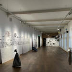 lia perjovschi, expoziție draft, arcub, curatorial