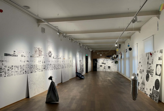 lia perjovschi, expoziție draft, arcub, curatorial