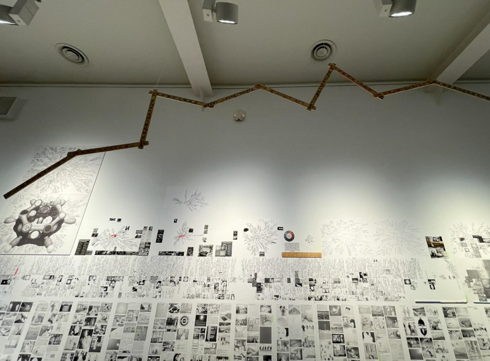 lia perjovschi, expozitie draft, arcub, curatorial