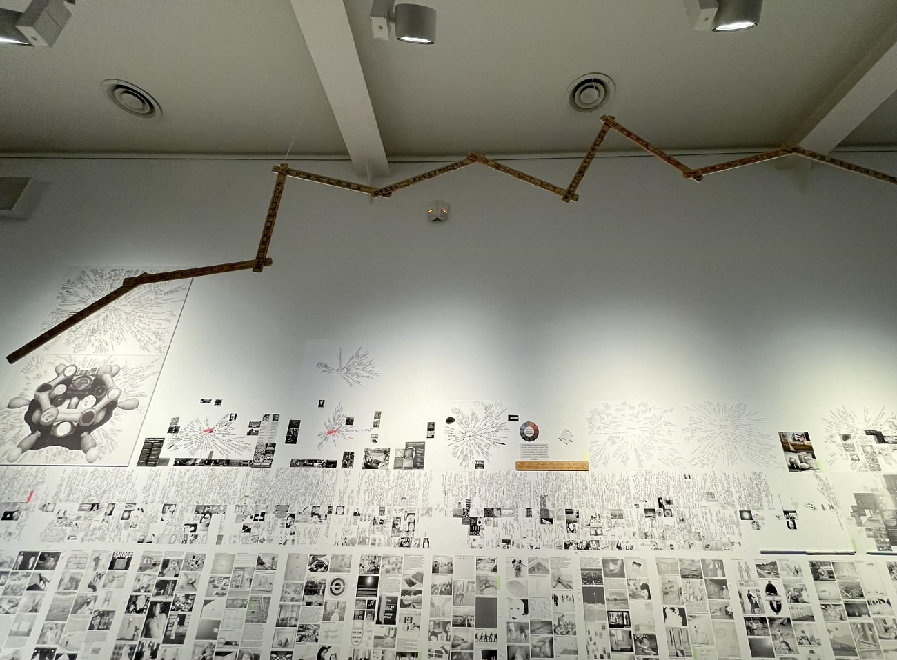 lia perjovschi, expozitie draft, arcub, curatorial