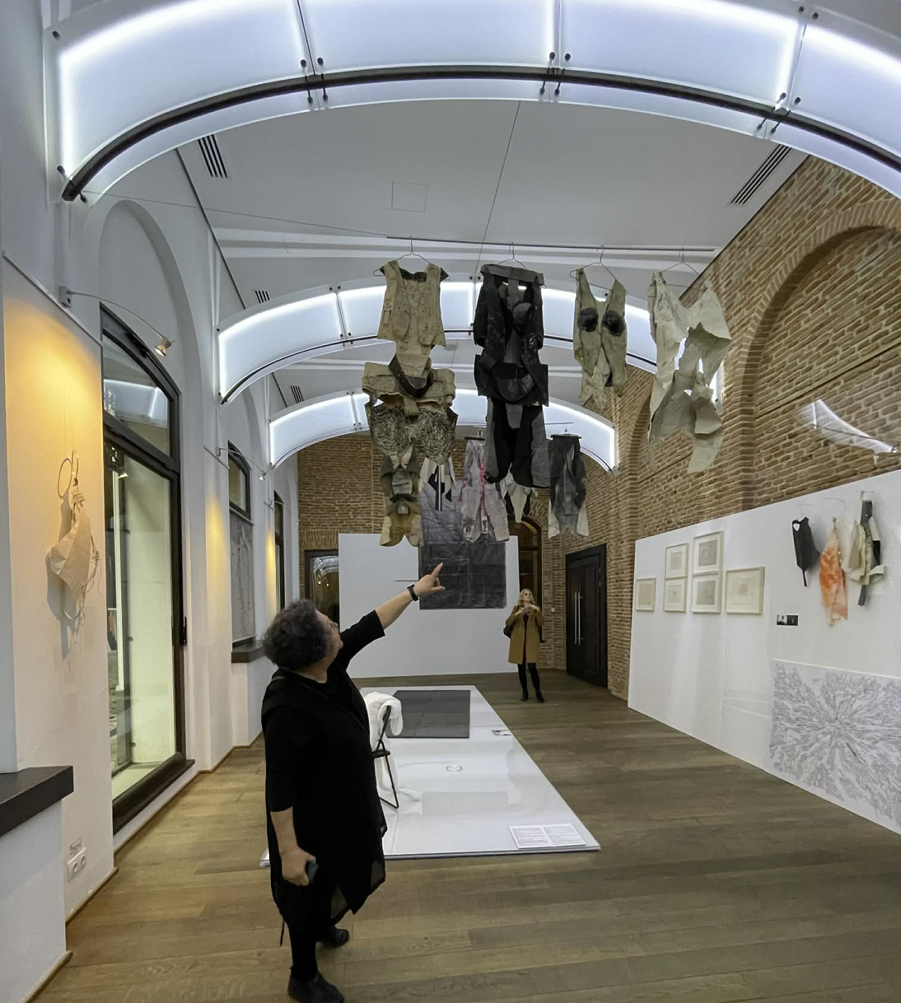 lia perjovschi, in expoziția draft, curatorial