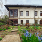 muzeul theodor pallady