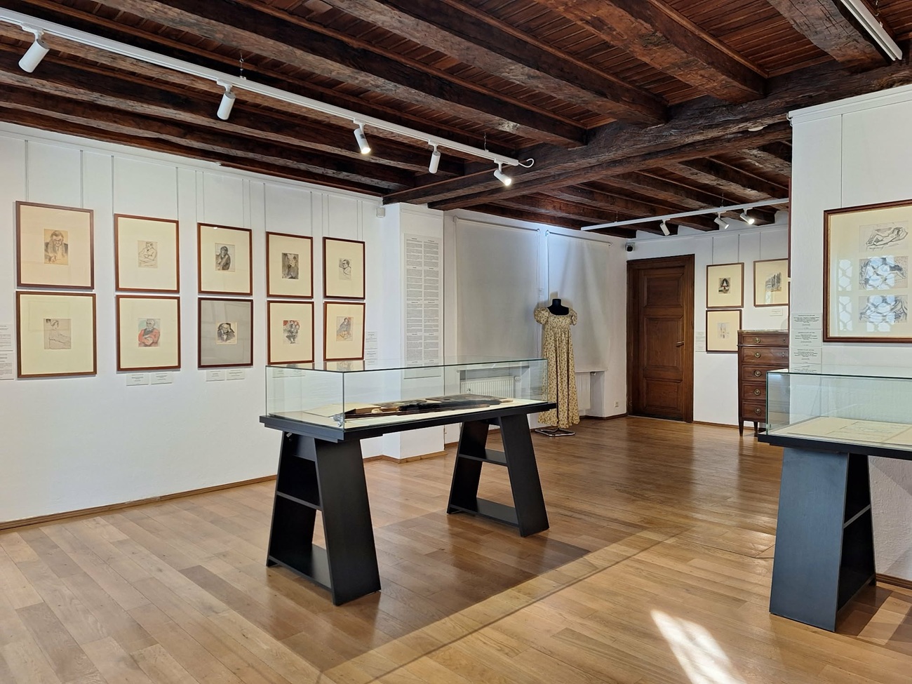 muzeul theodor pallady, curatorial